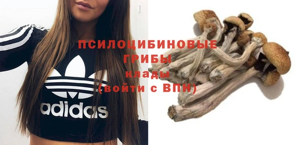 сатива Нефтегорск