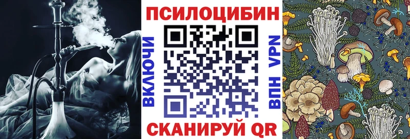 Галлюциногенные грибы Psilocybine cubensis  Струнино 